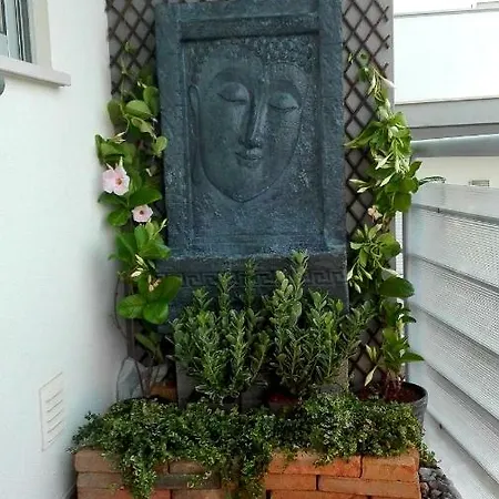 Sunhouse 알부페이라